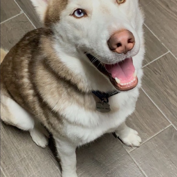 Meet your Posher, Hung - Picture 1 of 1